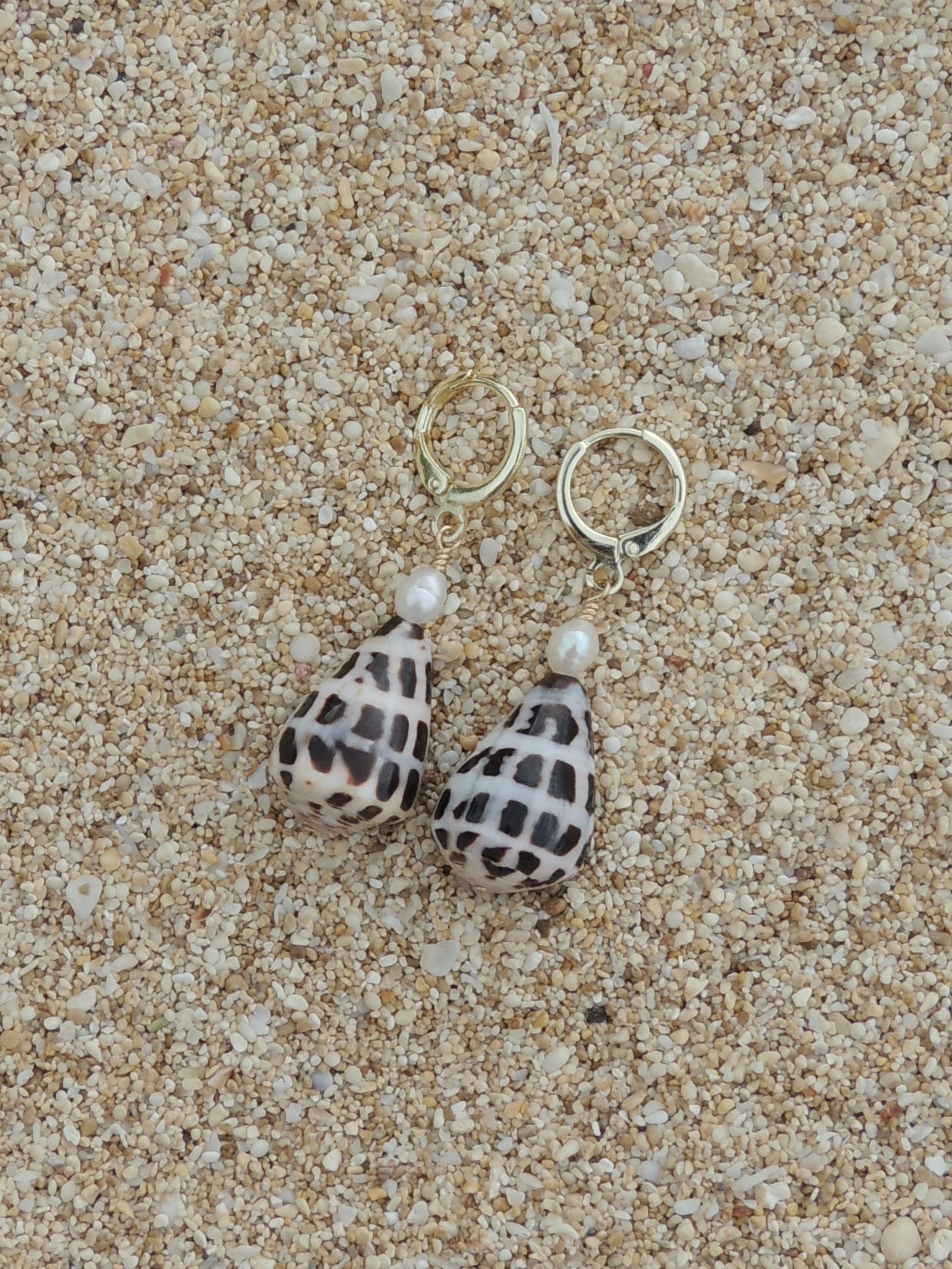 Hebrew Cone Shell Huggies
