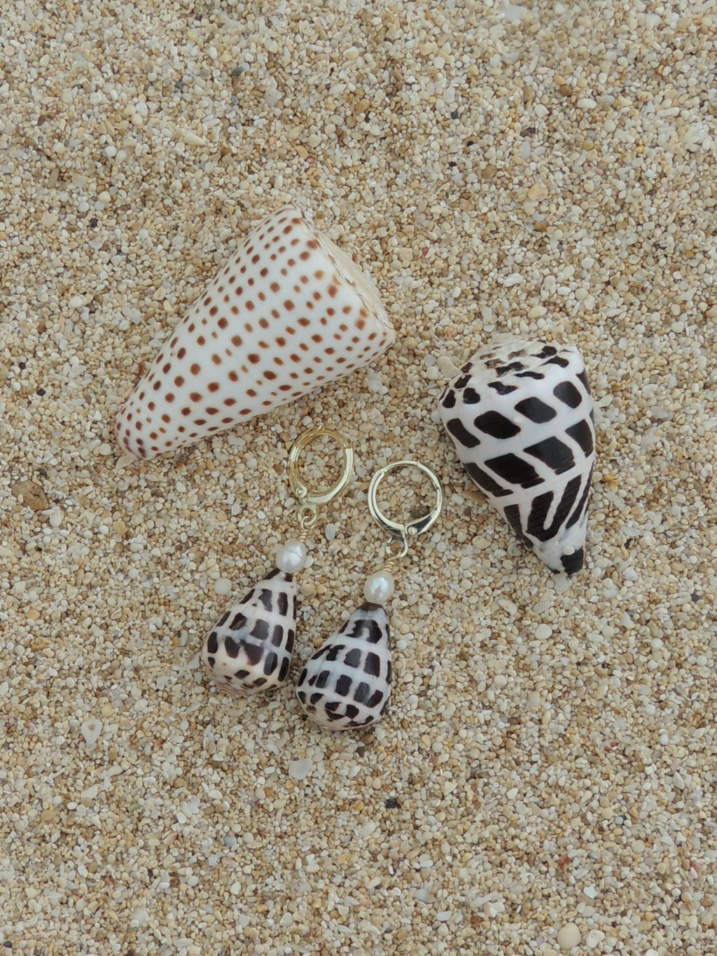 Hebrew Cone Shell Huggies