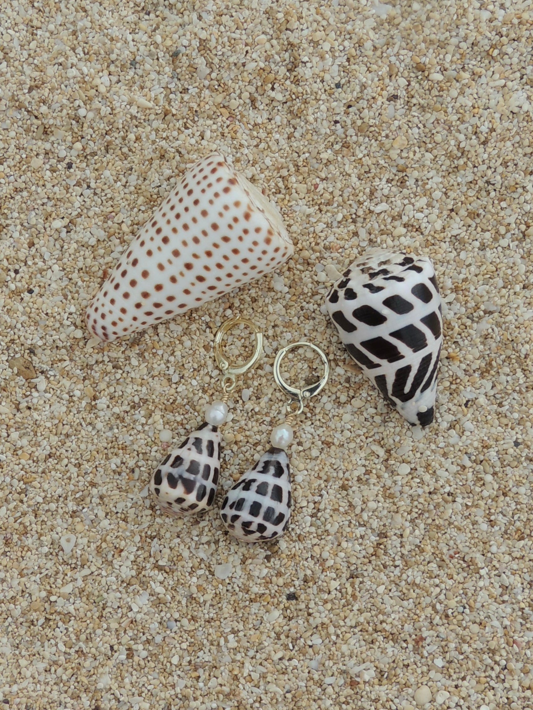 Hebrew Cone Shell Huggies