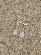 Cone Shell Huggies