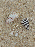 Cone Shell Huggies