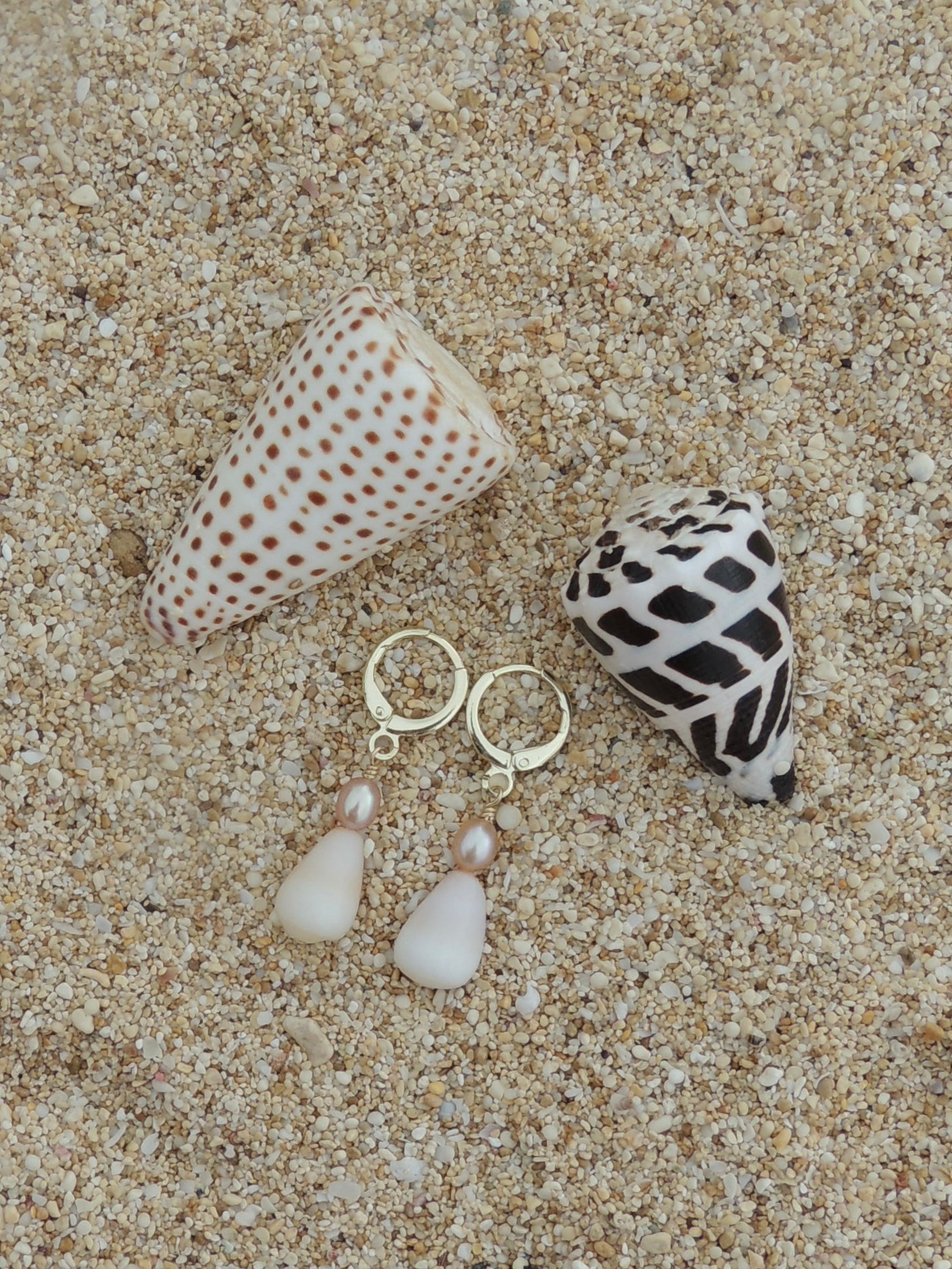 Cone Shell Huggies