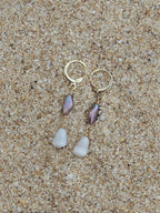 Cone Shell Huggies
