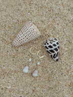 Cone Shell Huggies