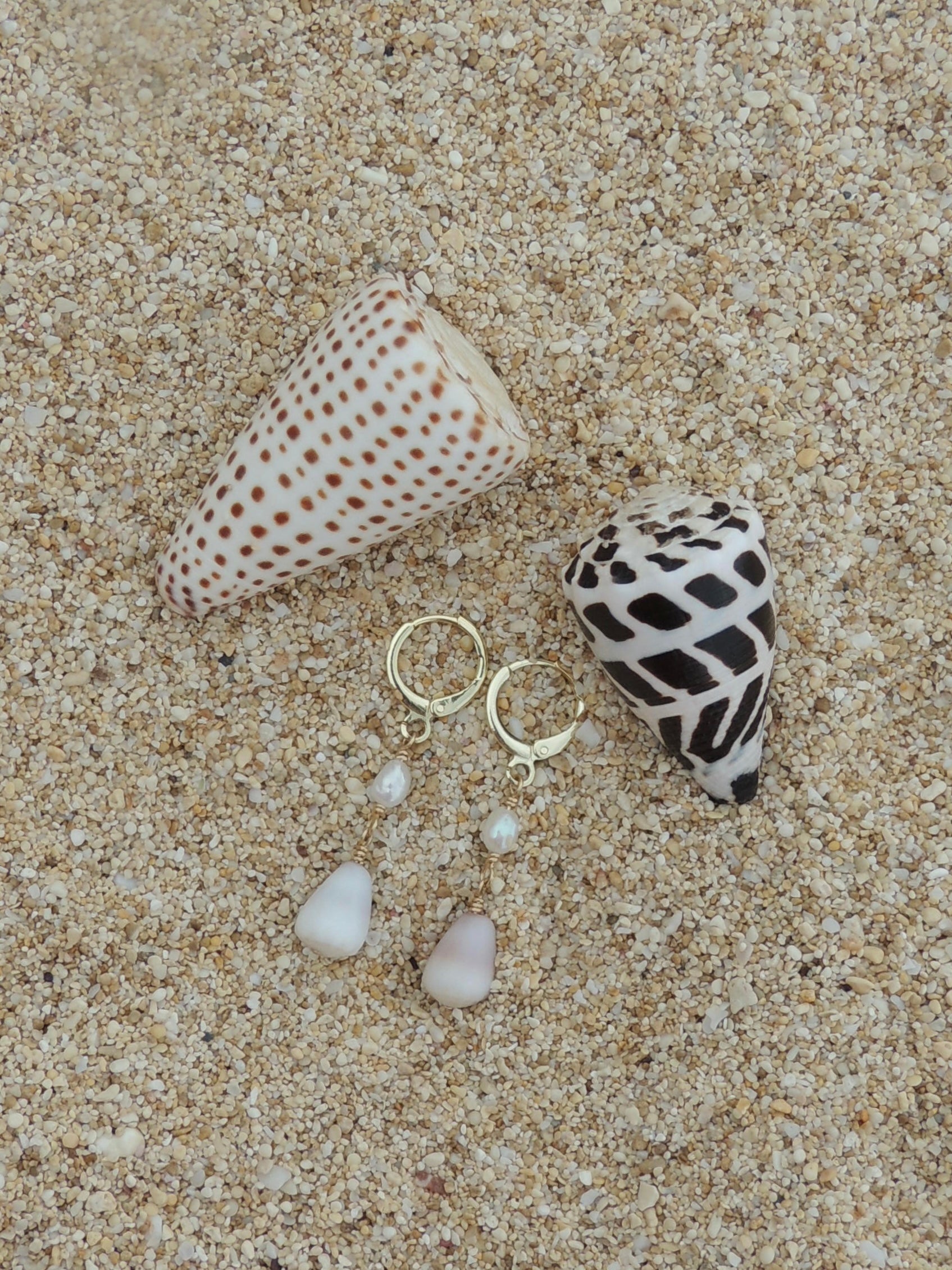 Cone Shell Huggies