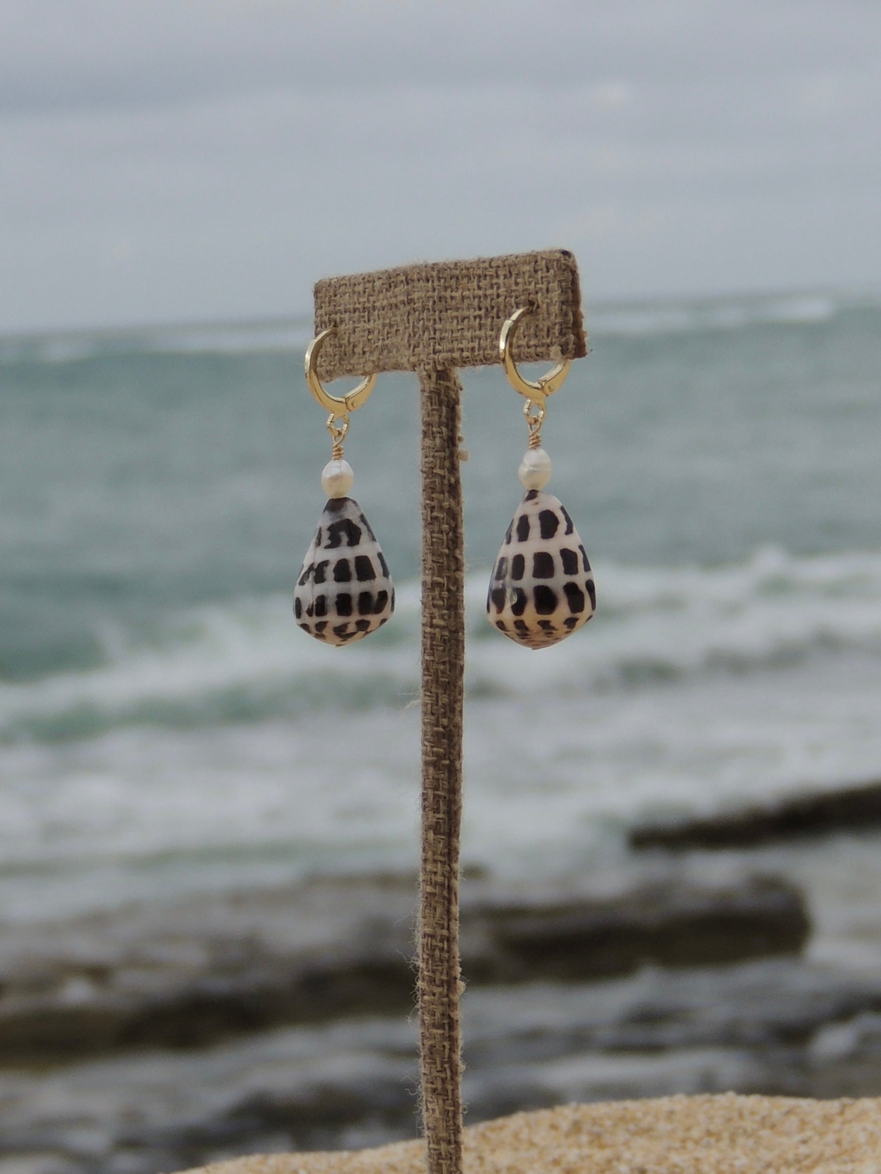 Hebrew Cone Shell Huggies