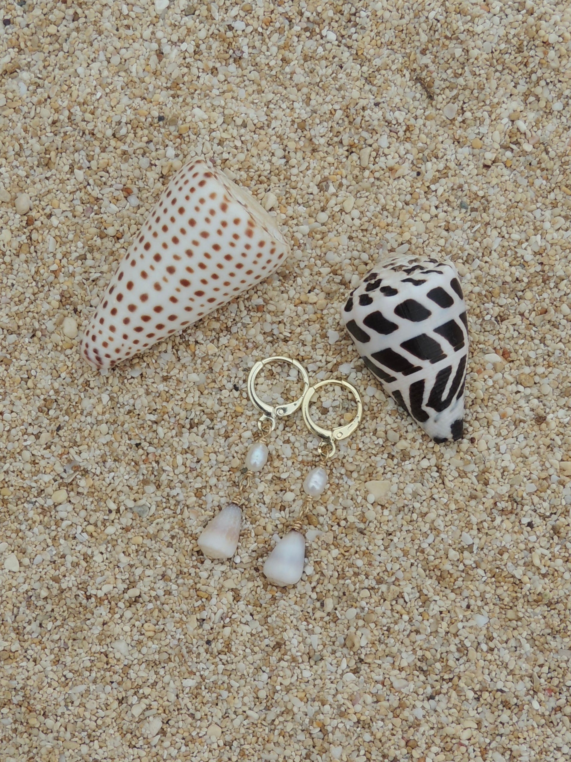 Cone Shell Huggies