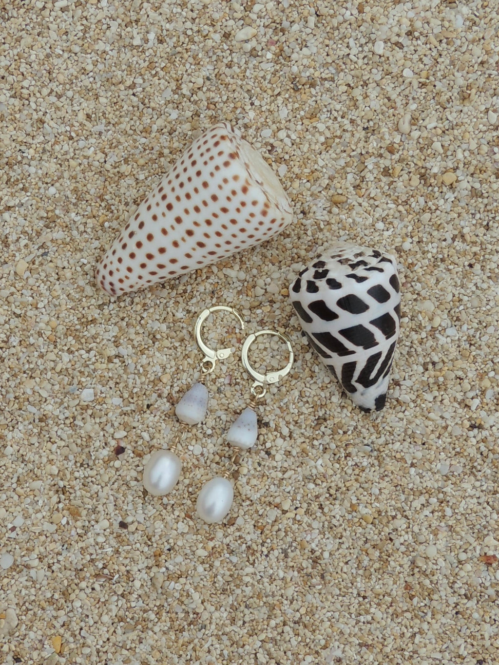 Cone Shell Huggies