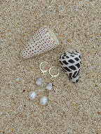 Cone Shell Huggies