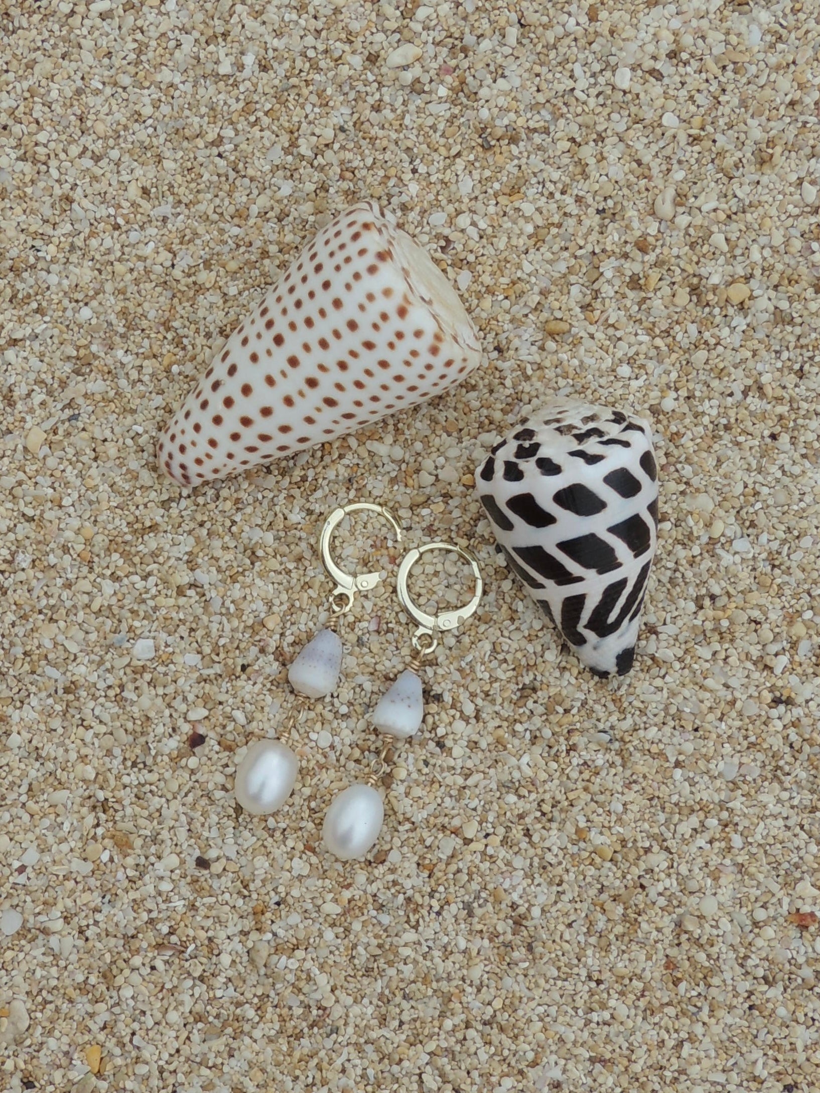 Cone Shell Huggies