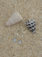 Cone Shell Huggies
