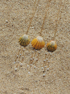 Sunrise Shell Necklace