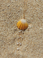 Sunrise Shell Necklace