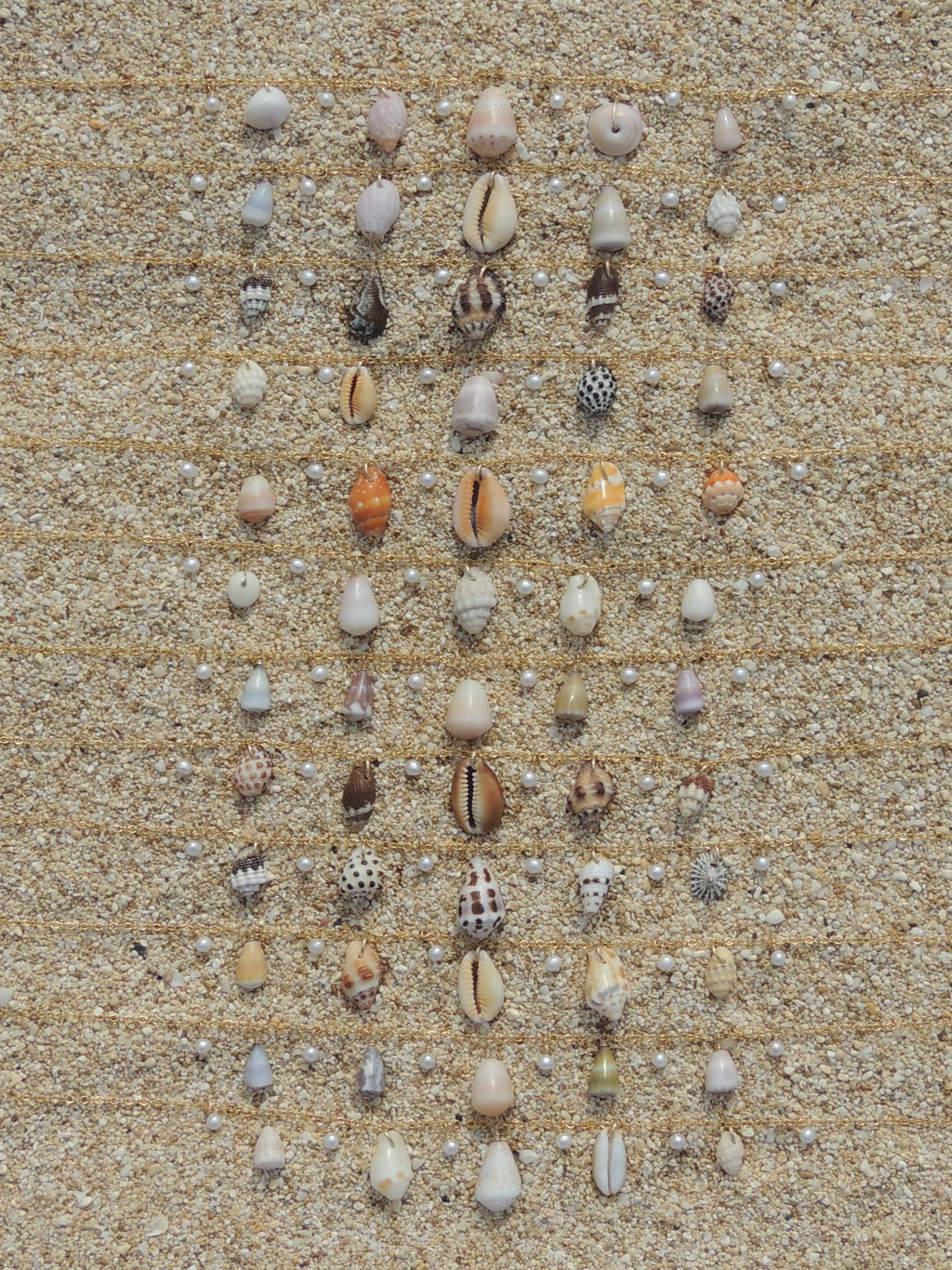 Shell Charm Necklace