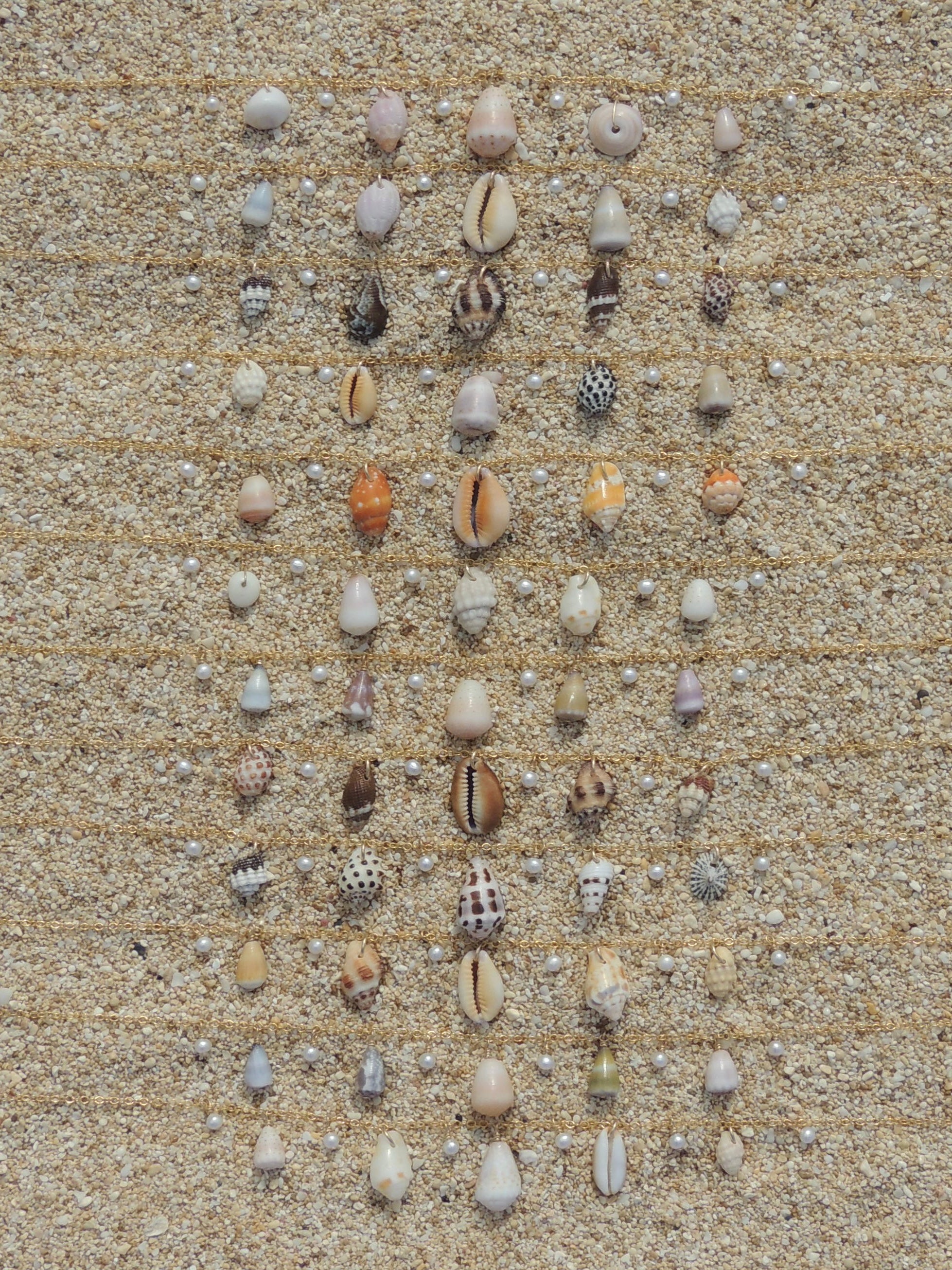 Shell Charm Necklace