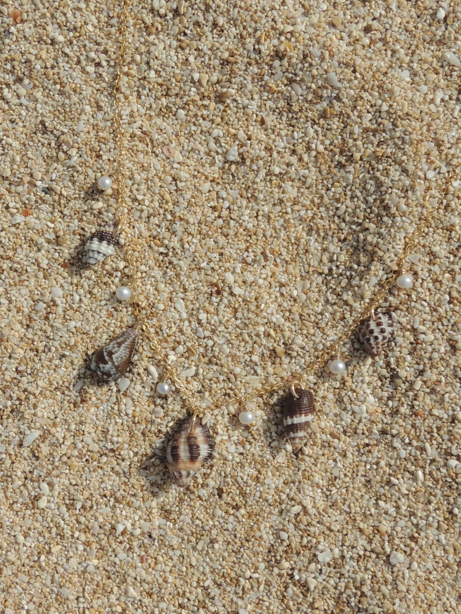 Shell Charm Necklace