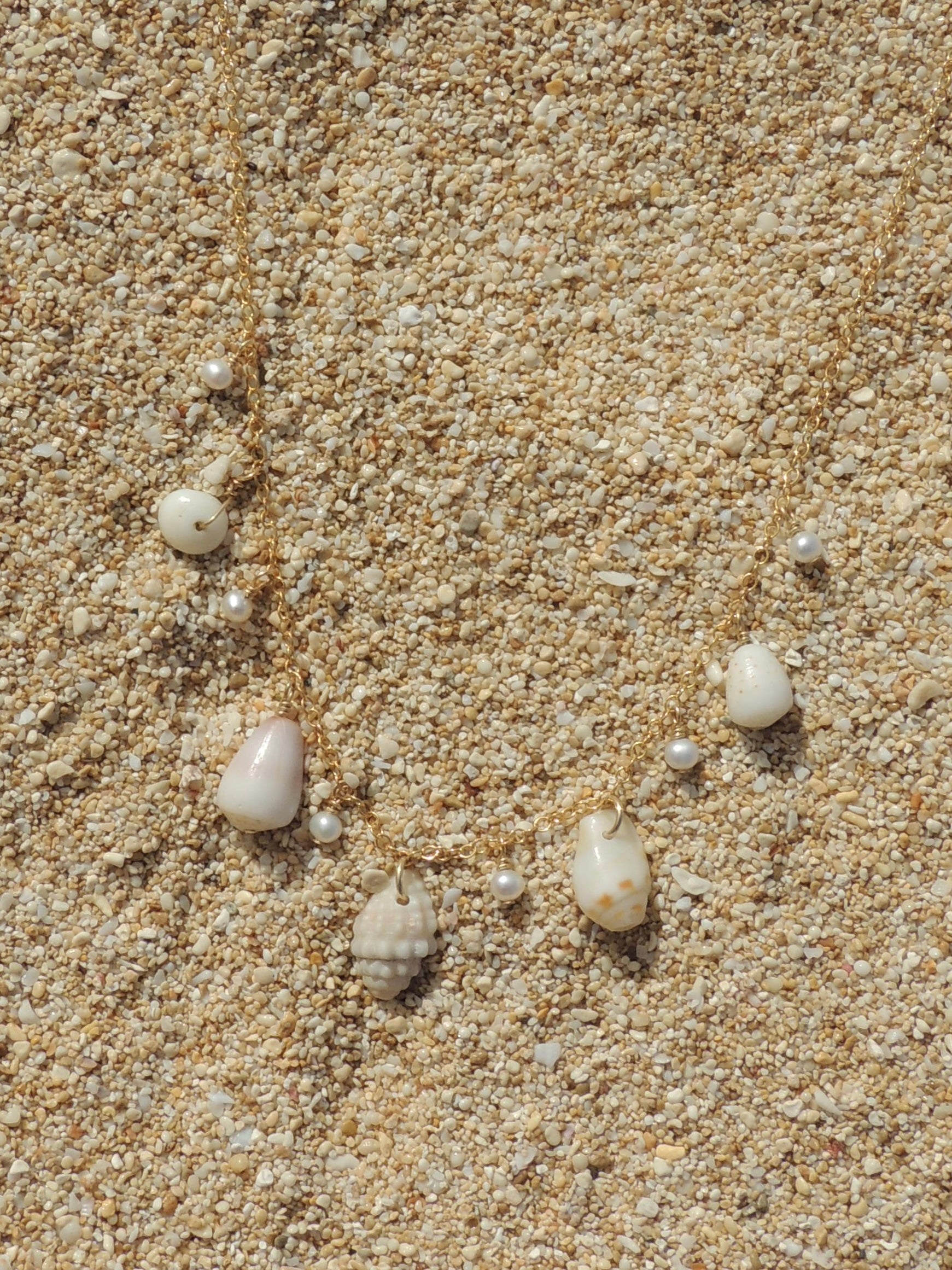 Shell Charm Necklace