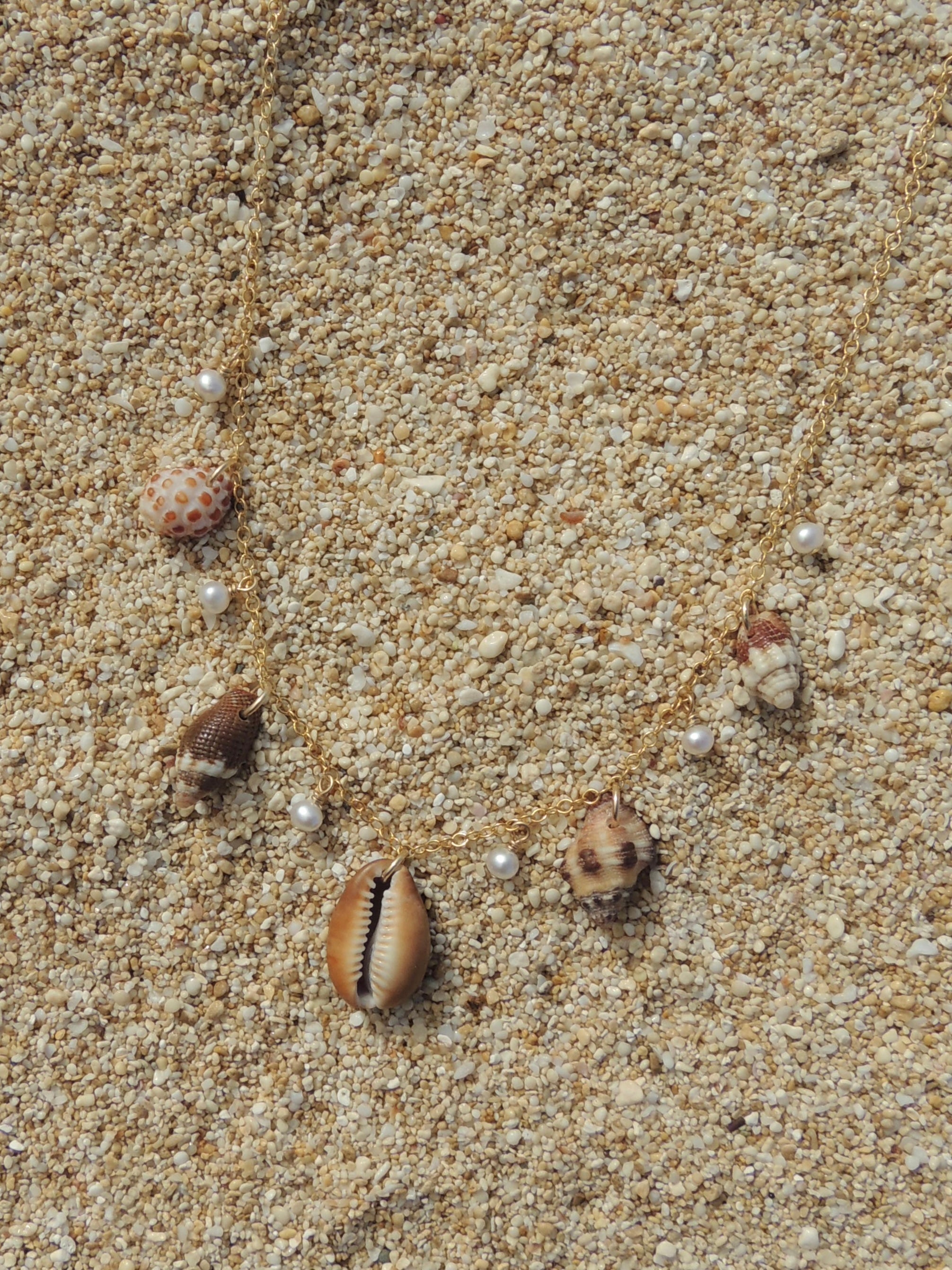 Shell Charm Necklace
