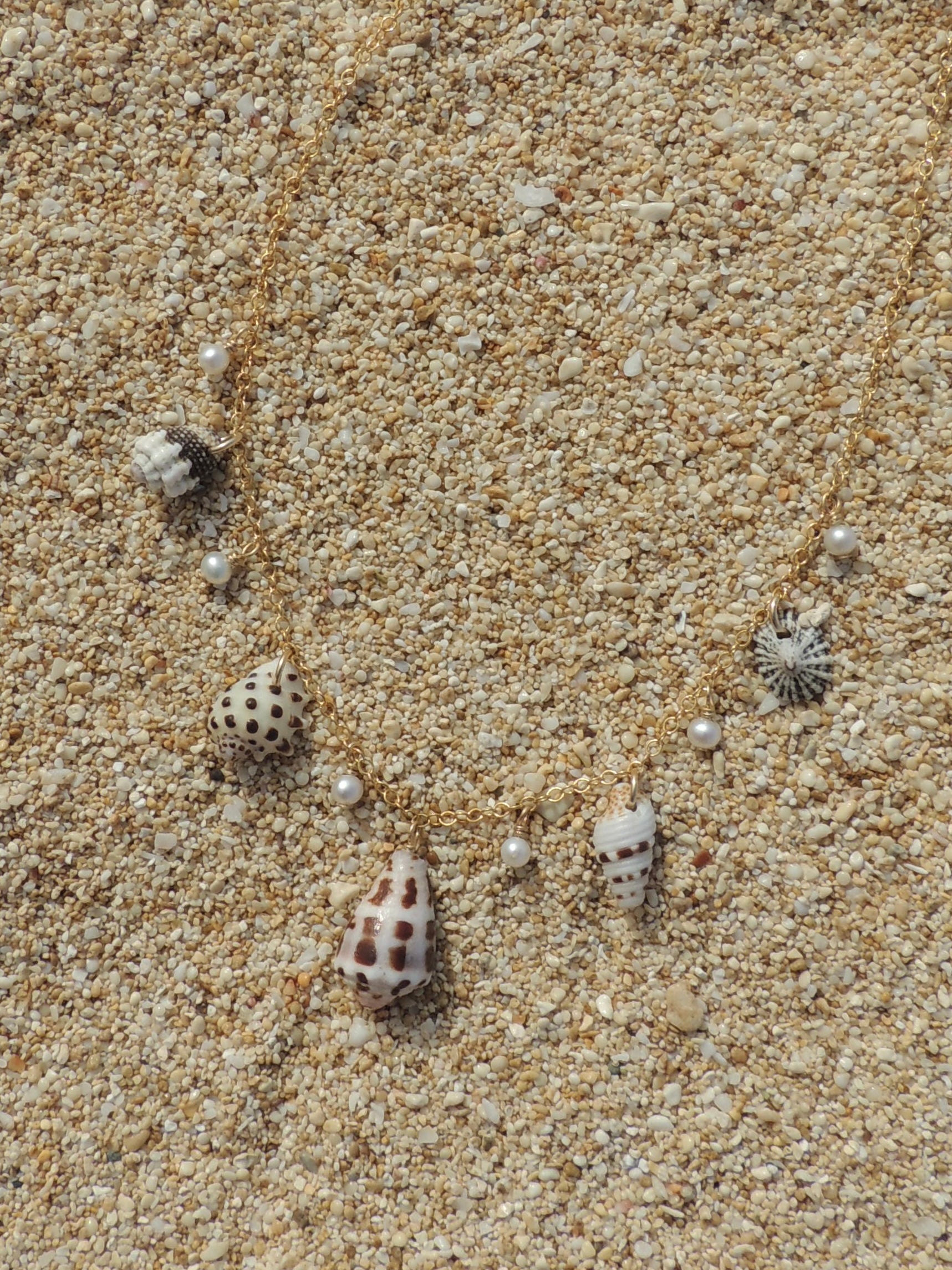 Shell Charm Necklace