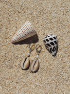 Cowrie Shell Huggies