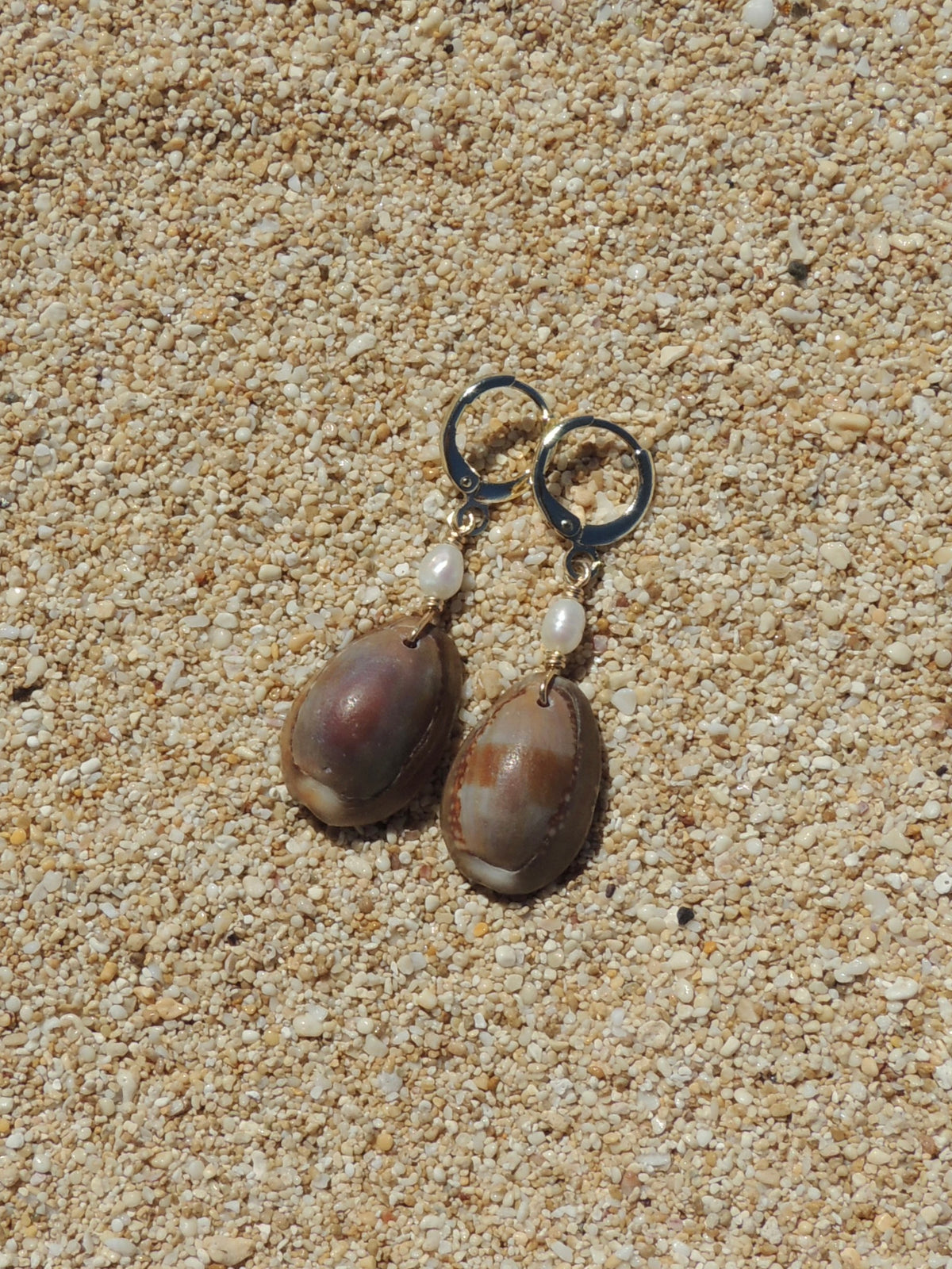 Cowrie Shell Huggies