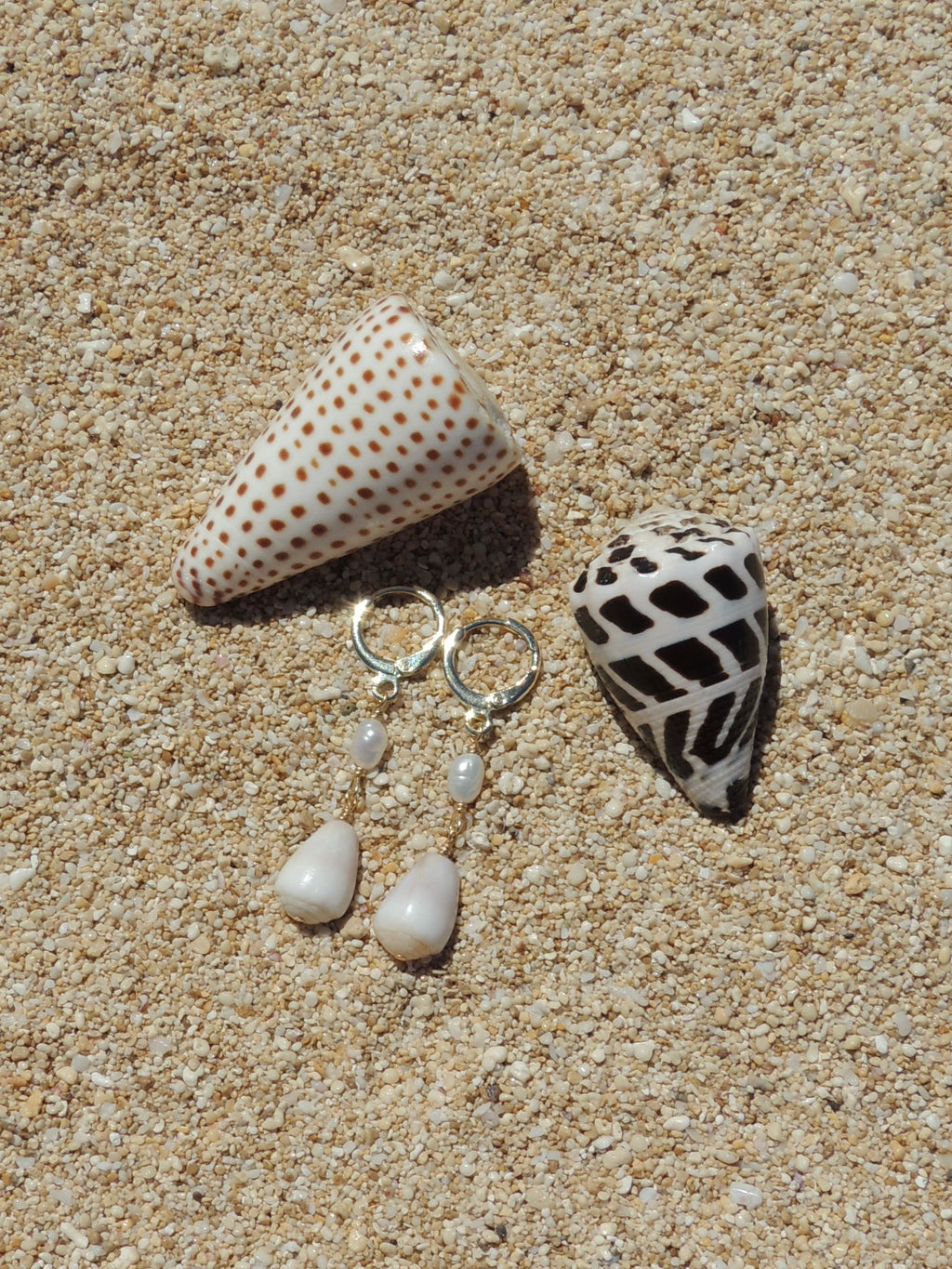 Cone Shell Huggies