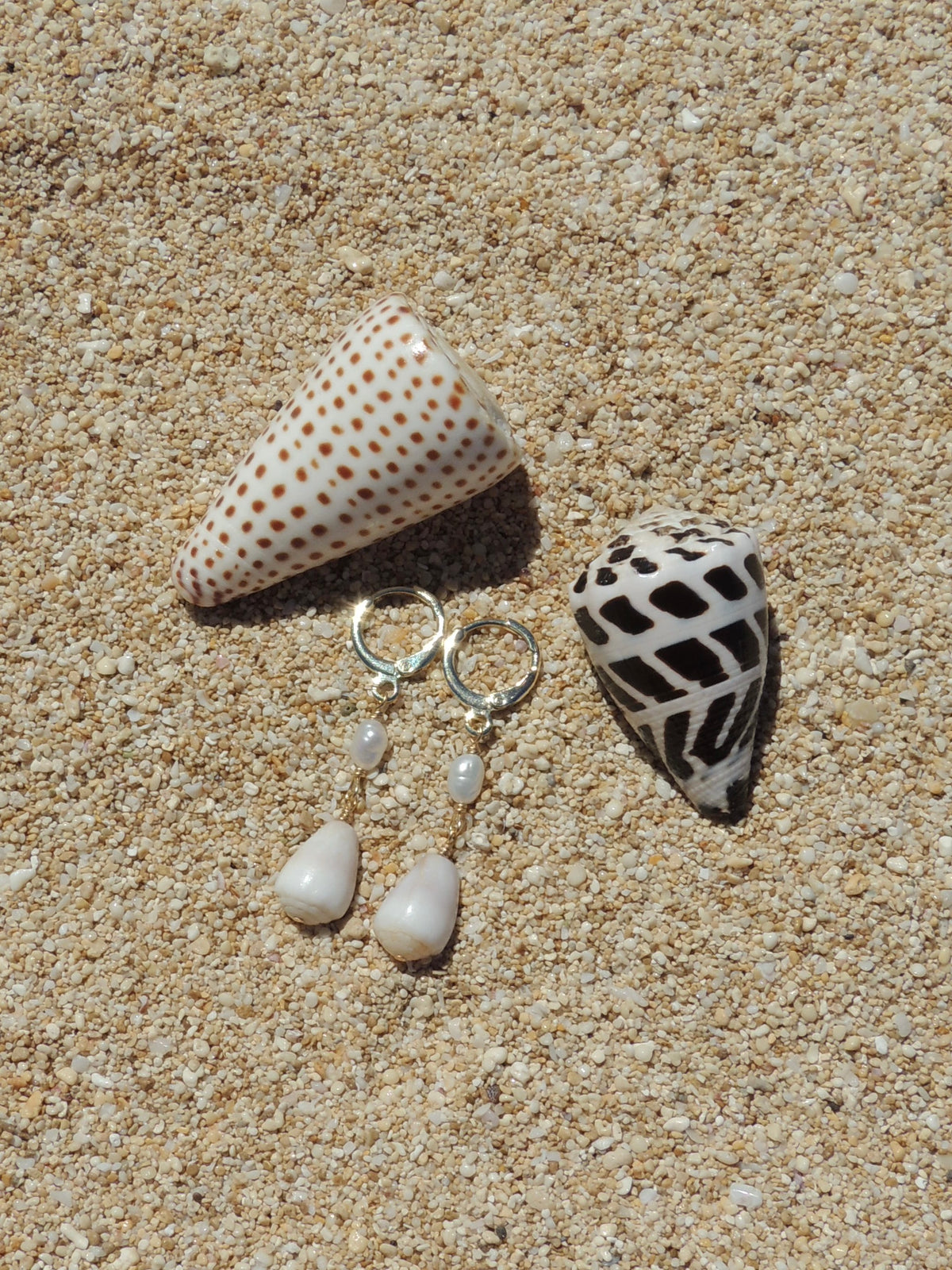 Cone Shell Huggies