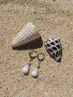 Cone Shell Huggies