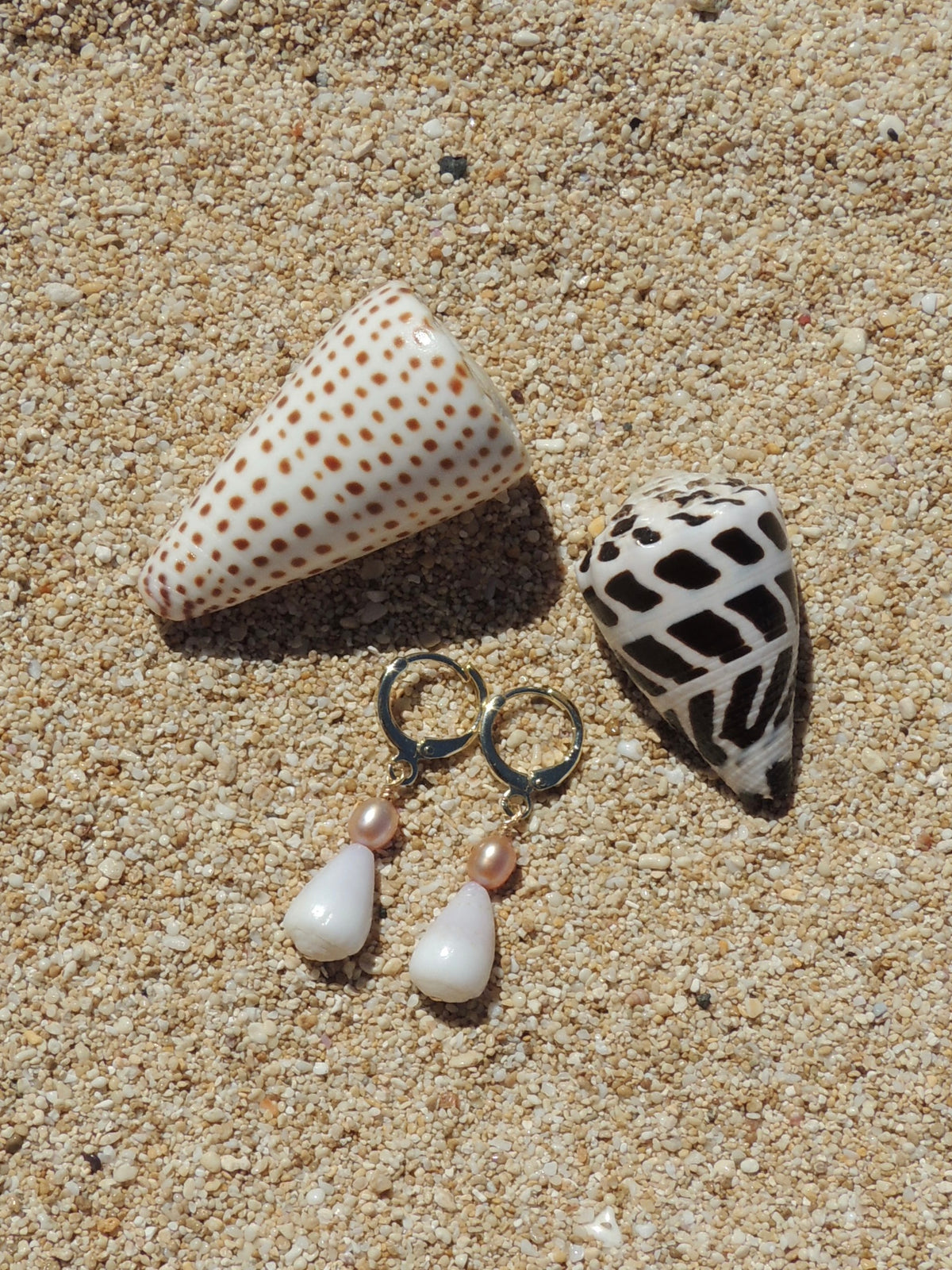 Cone Shell Huggies