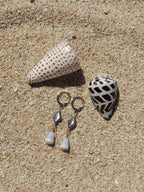 Cone Shell Huggies