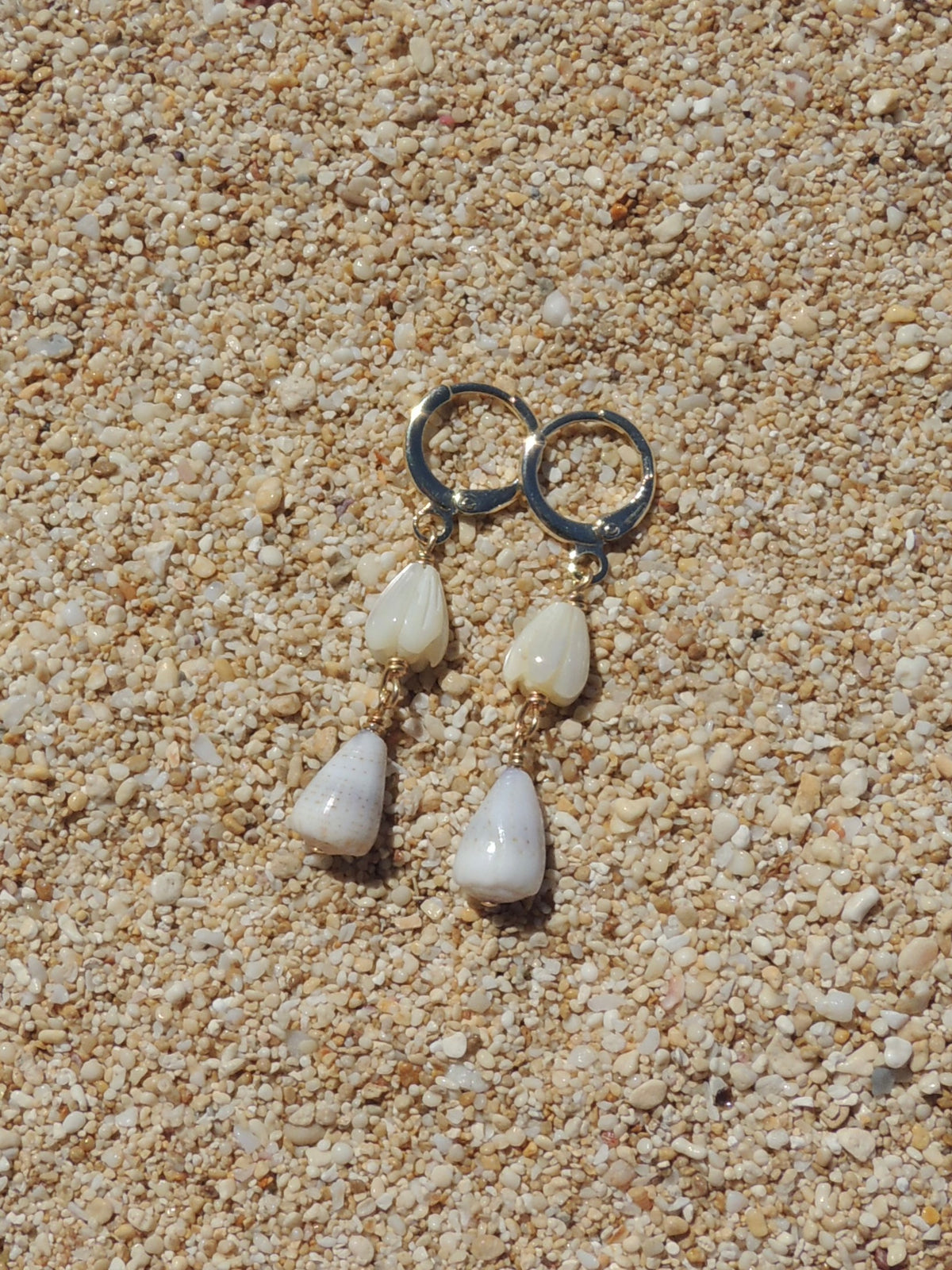 Cone Shell Huggies