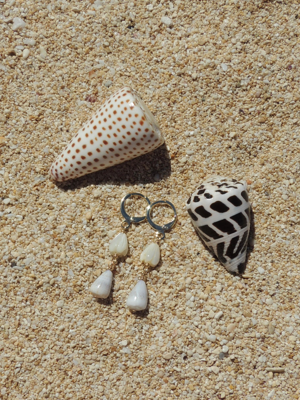 Cone Shell Huggies
