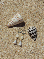 Cone Shell Huggies