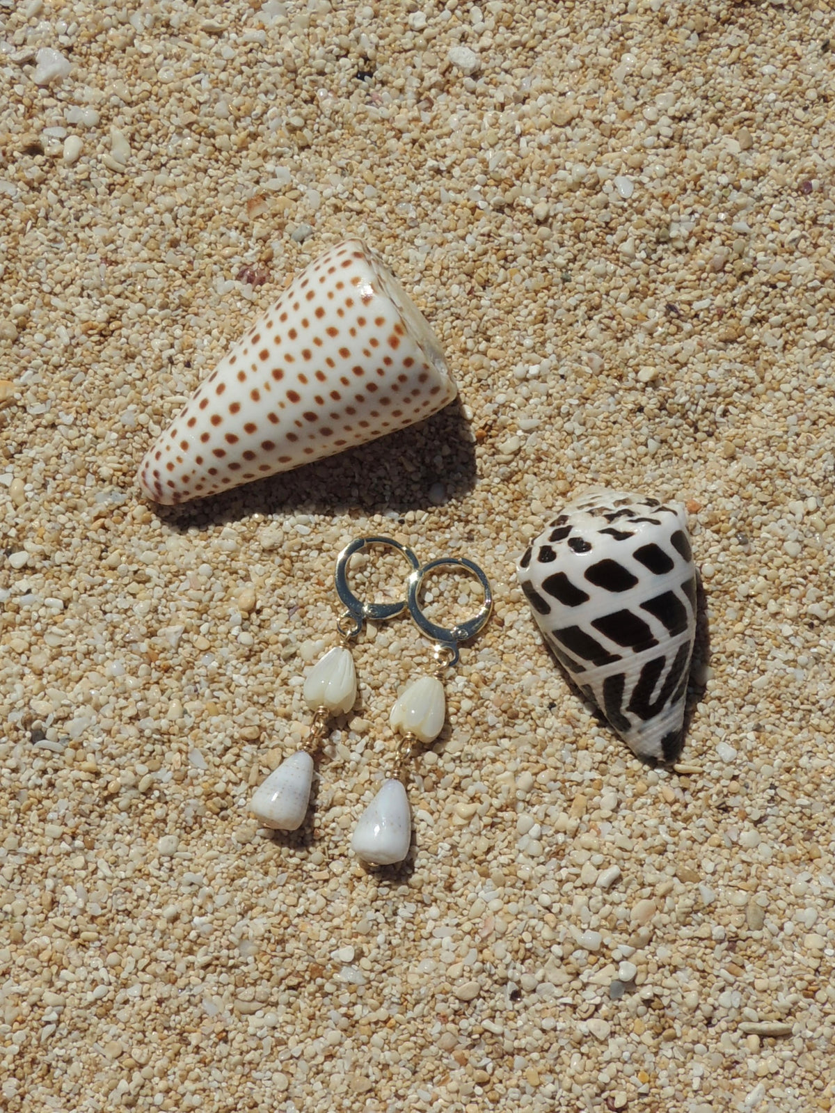 Cone Shell Huggies
