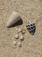 Abbreviated Cone Shell Huggies