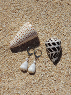Cone Shell Huggies
