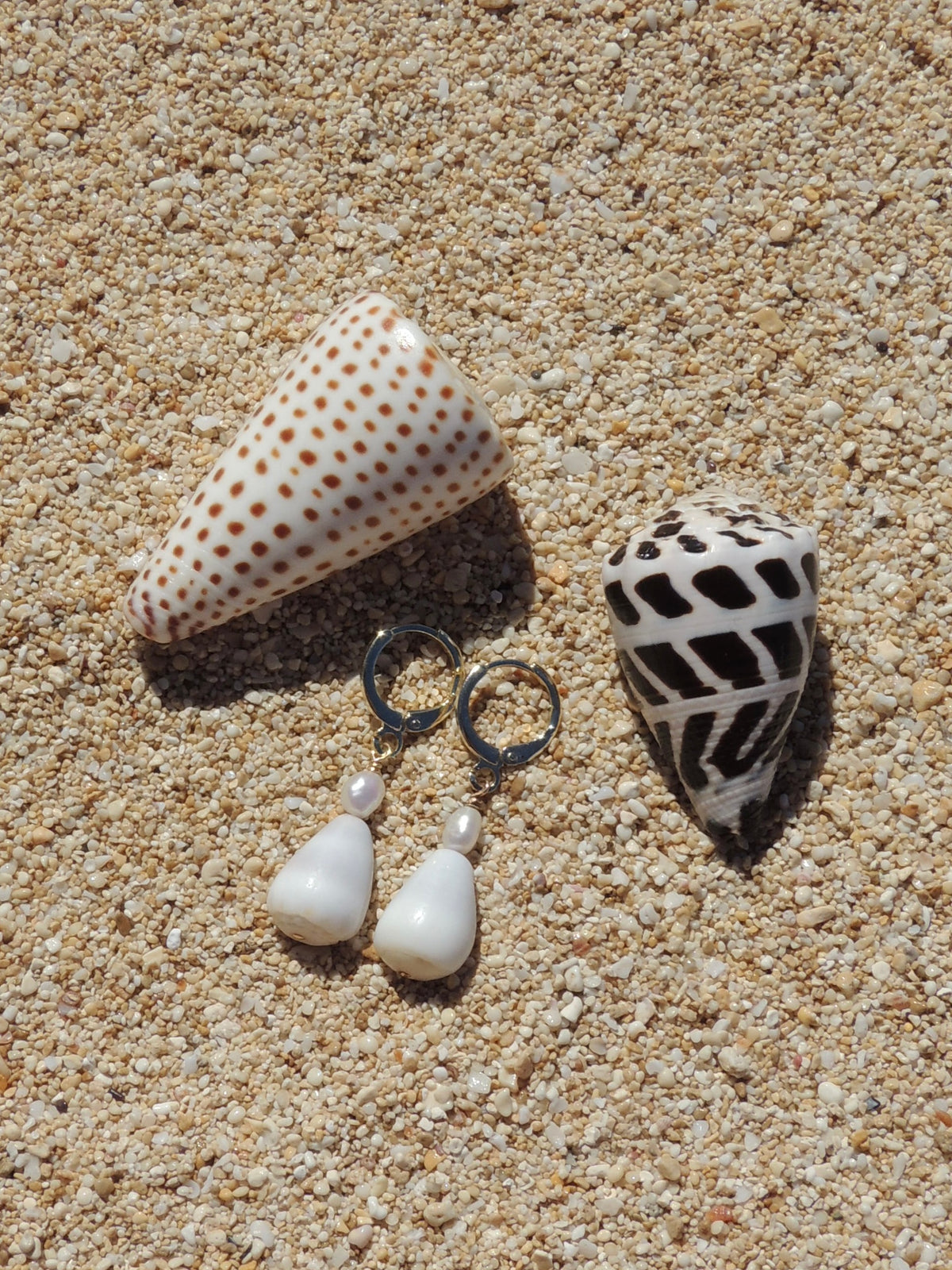 Cone Shell Huggies