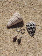 Brown Shell Huggies