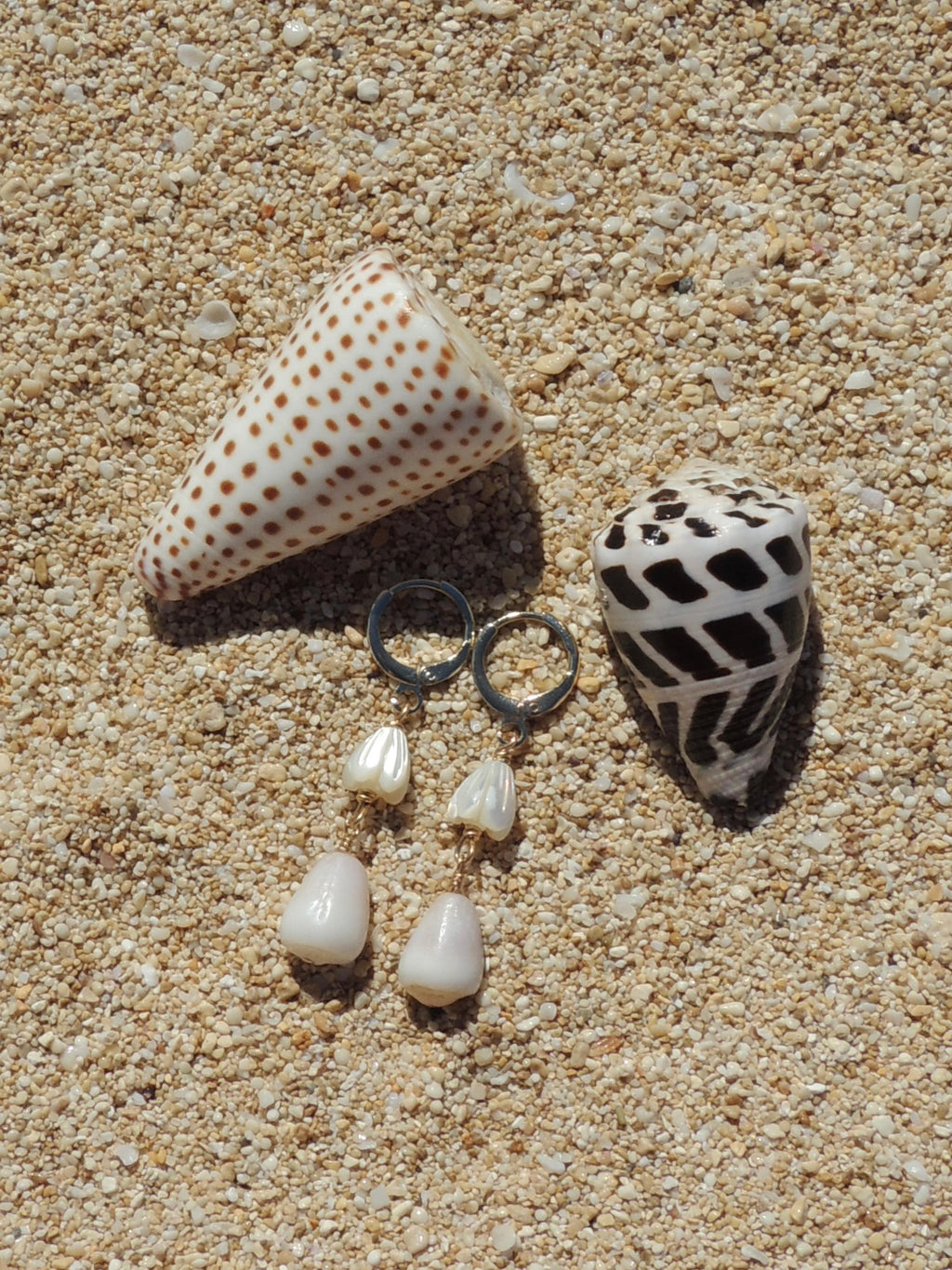 Cone Shell Huggies