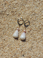 Cone Shell Huggies