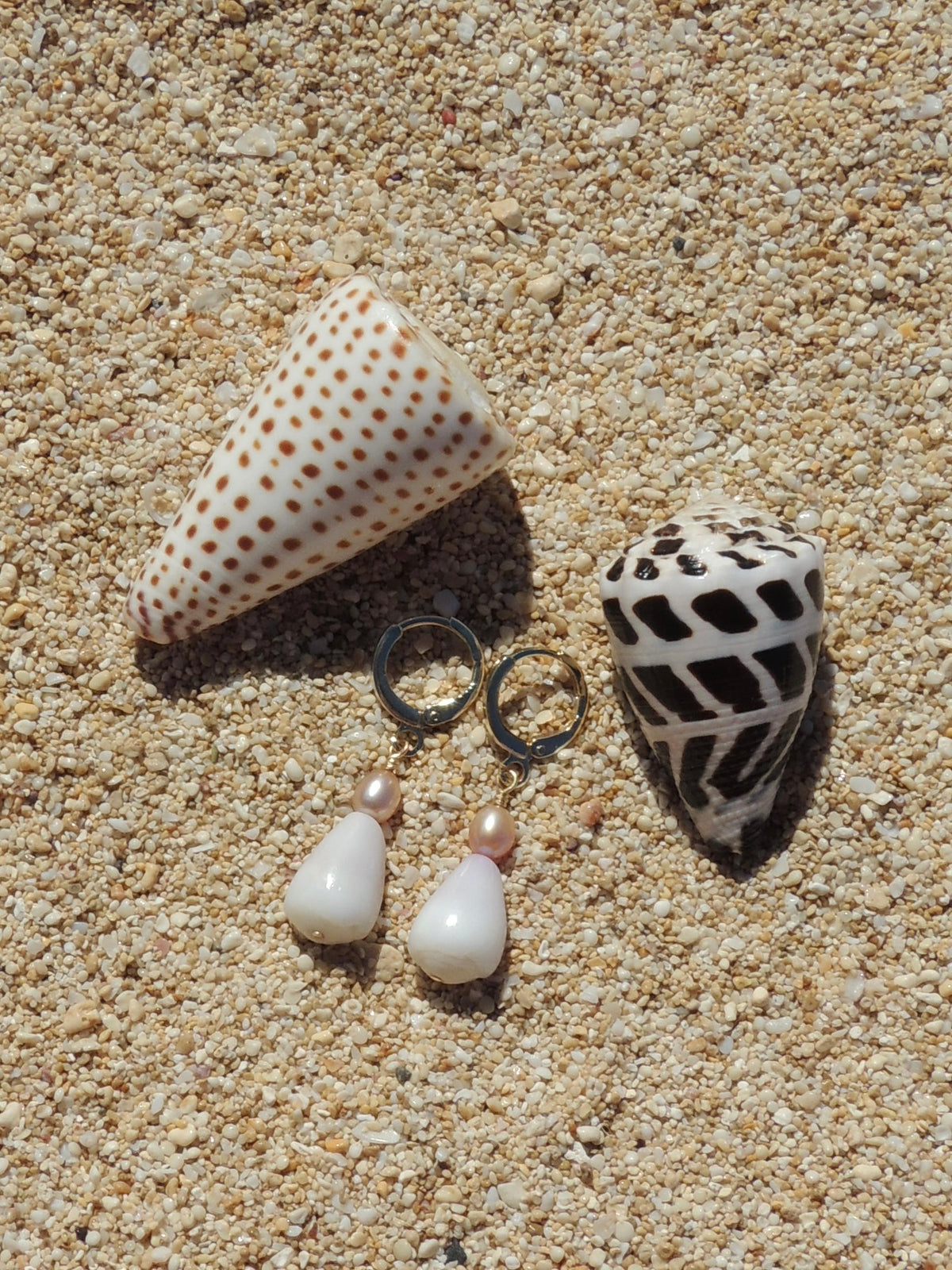 Cone Shell Huggies