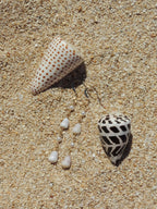 Cone Shell Earrings