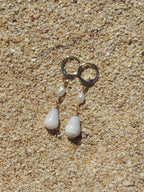 Cone Shell Huggies