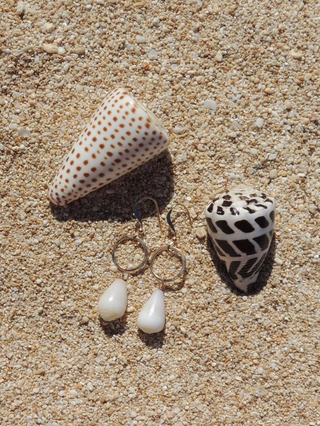 Cone Shell Earrings