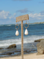 Cone Shell Earrings