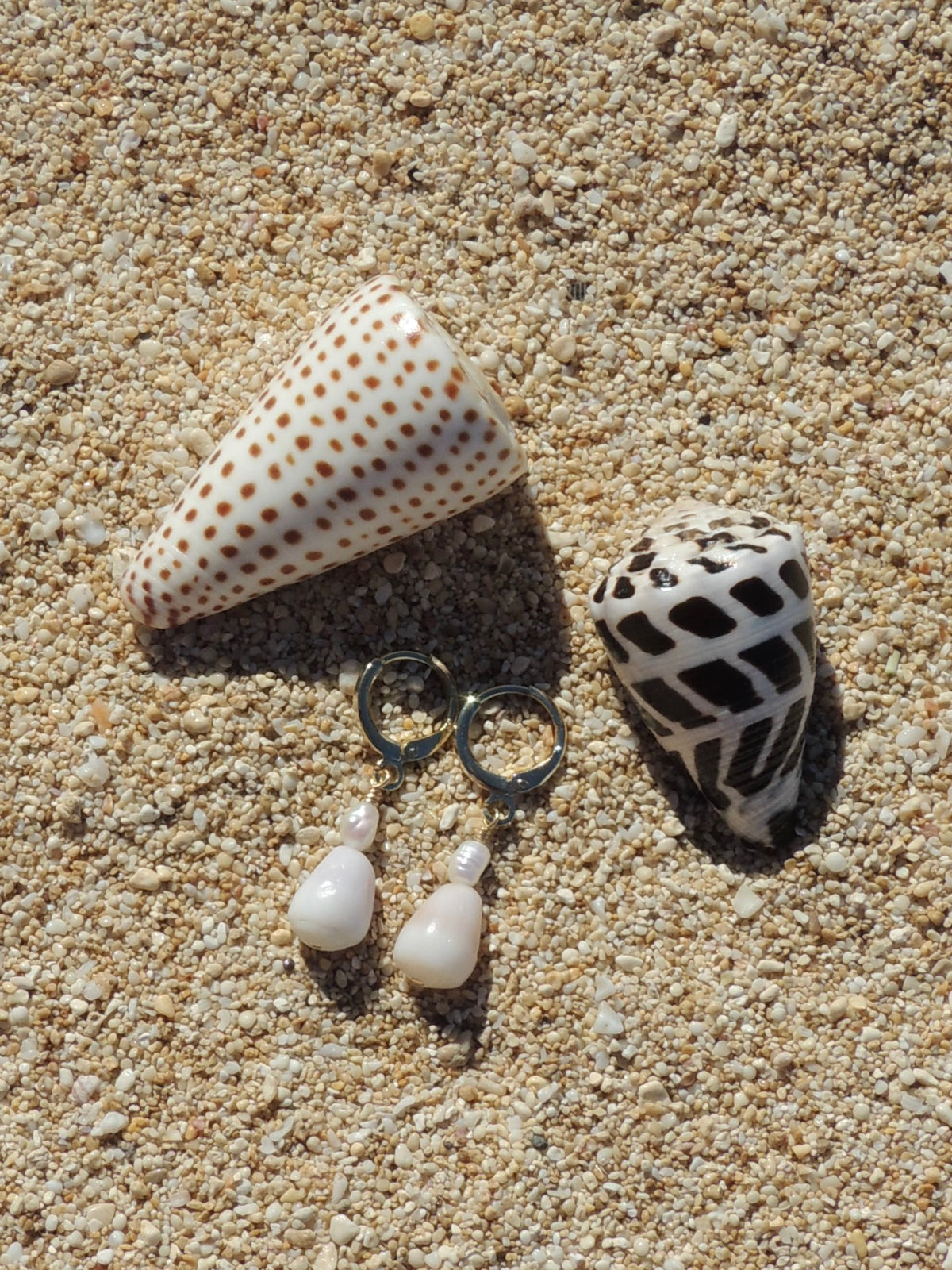 Cone Shell Huggies