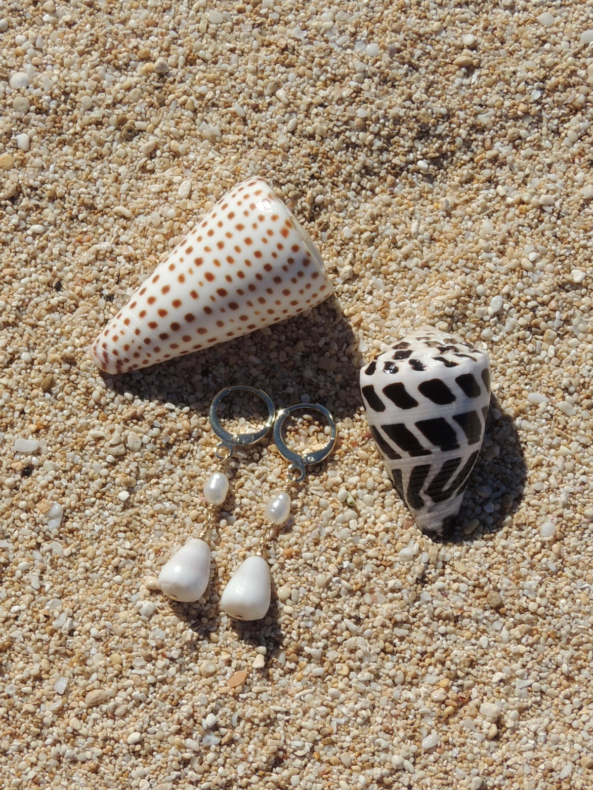 Cone Shell Huggies