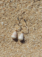 Cone Shell Earrings