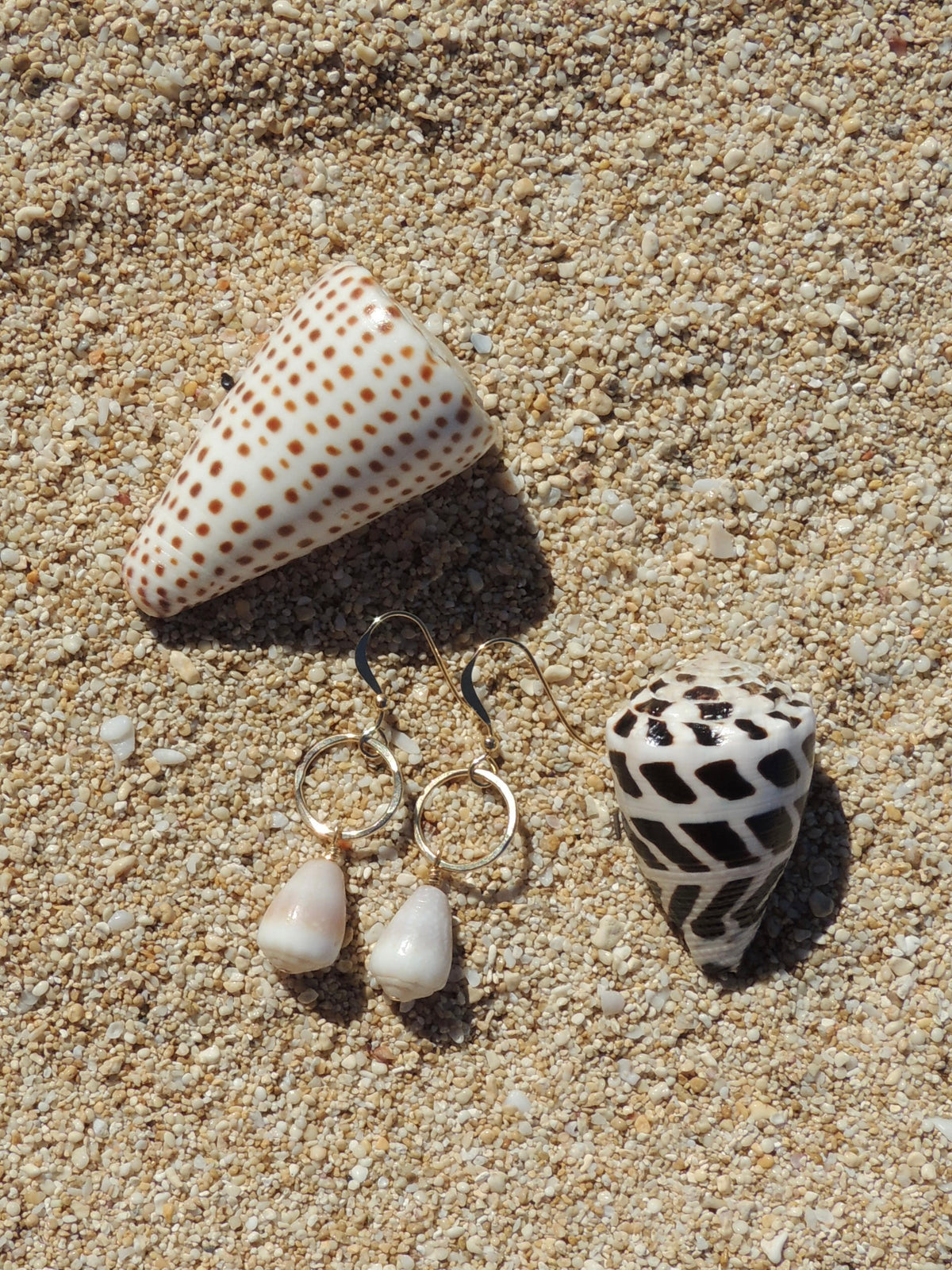 Cone Shell Earrings