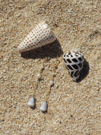 Cone Shell Chain Earrings